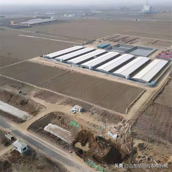 合格的养电子游艺网站
要注意哪些设计原则，需要做哪些规划方案？