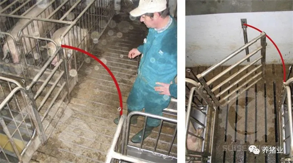中国电子游艺网站下载安装
