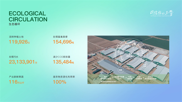 中国电子游艺网站下载安装
