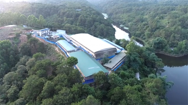 中国电子游艺网站下载安装
