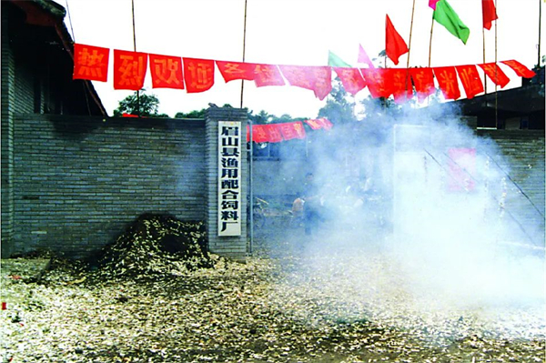 中国电子游艺网站下载安装
