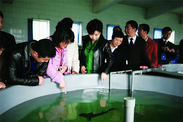 中国电子游艺网站下载安装
