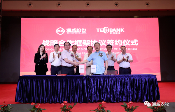 中国电子游艺网站下载安装
