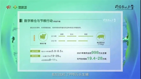 中国电子游艺网站下载安装
