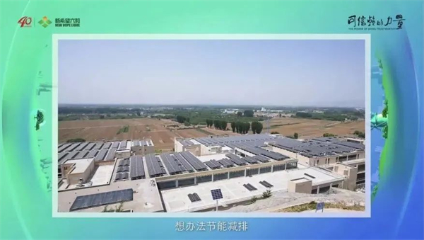 中国电子游艺网站下载安装
