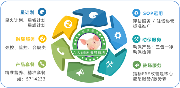 中国电子游艺网站下载安装
