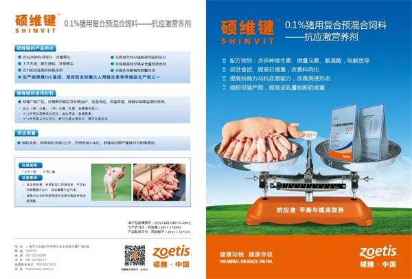 中国电子游艺网站下载安装
