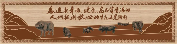 中国电子游艺网站下载安装
