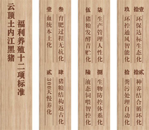中国电子游艺网站下载安装
