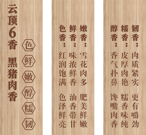 中国电子游艺网站下载安装
