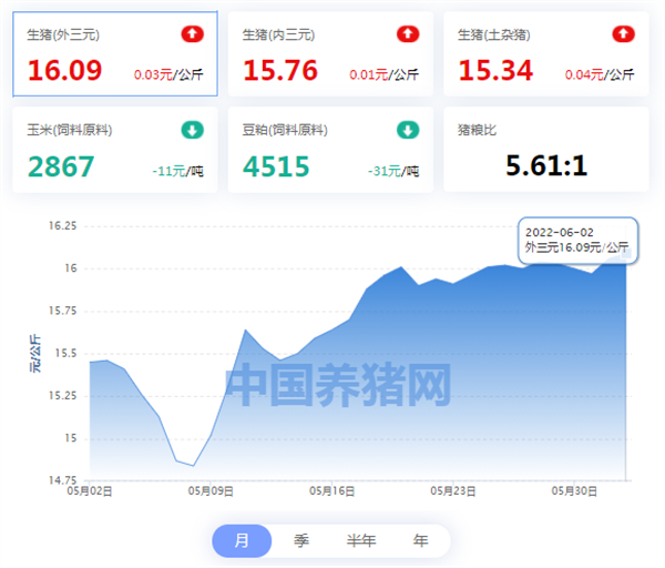 中国电子游艺网站下载安装