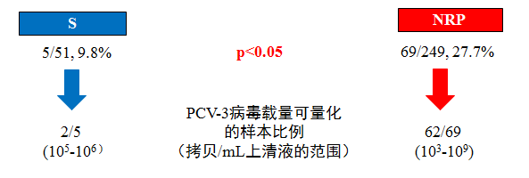 中国电子游艺网站下载安装
