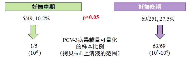 中国电子游艺网站下载安装
