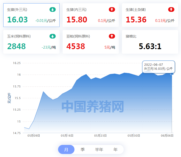 中国电子游艺网站下载安装
