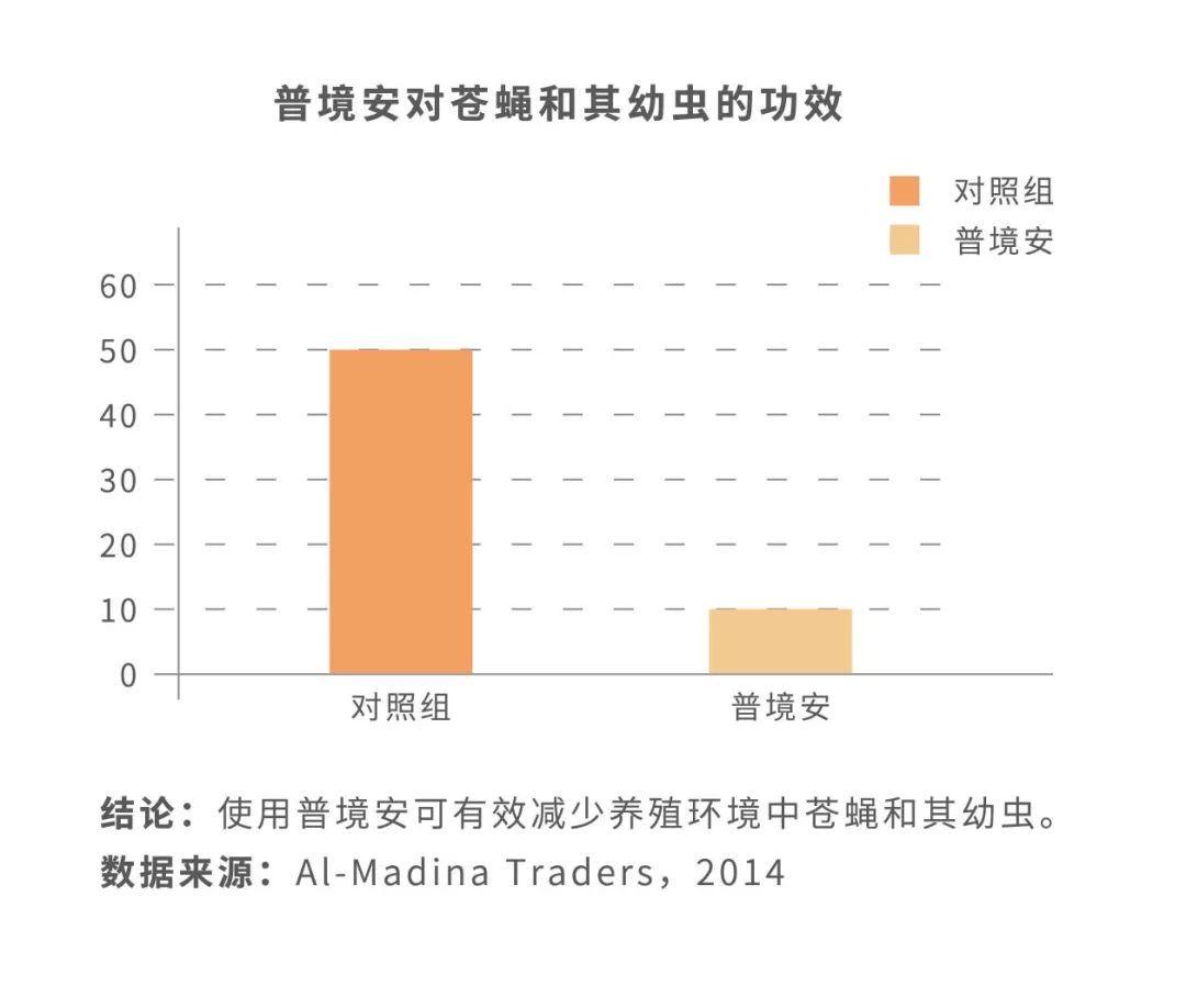 中国电子游艺网站下载安装
