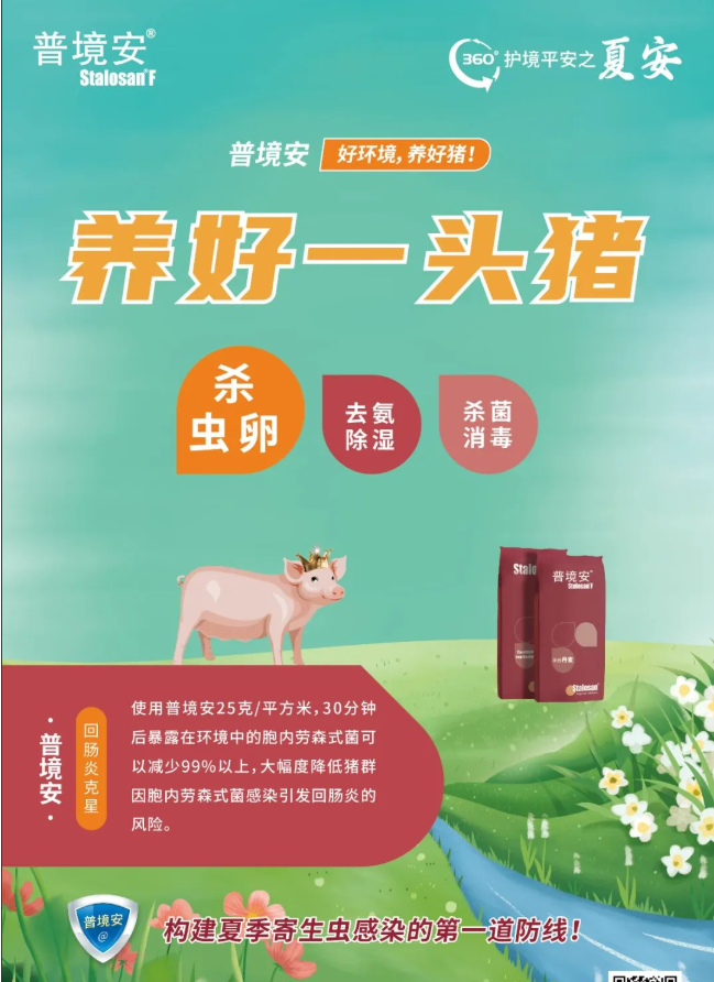 中国电子游艺网站下载安装
