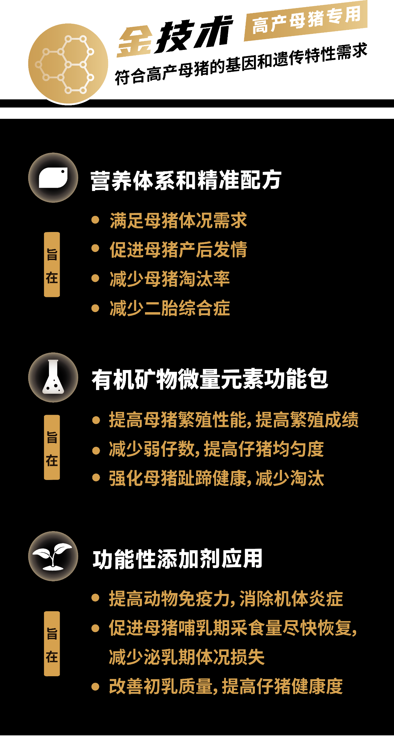 中国电子游艺网站下载安装
