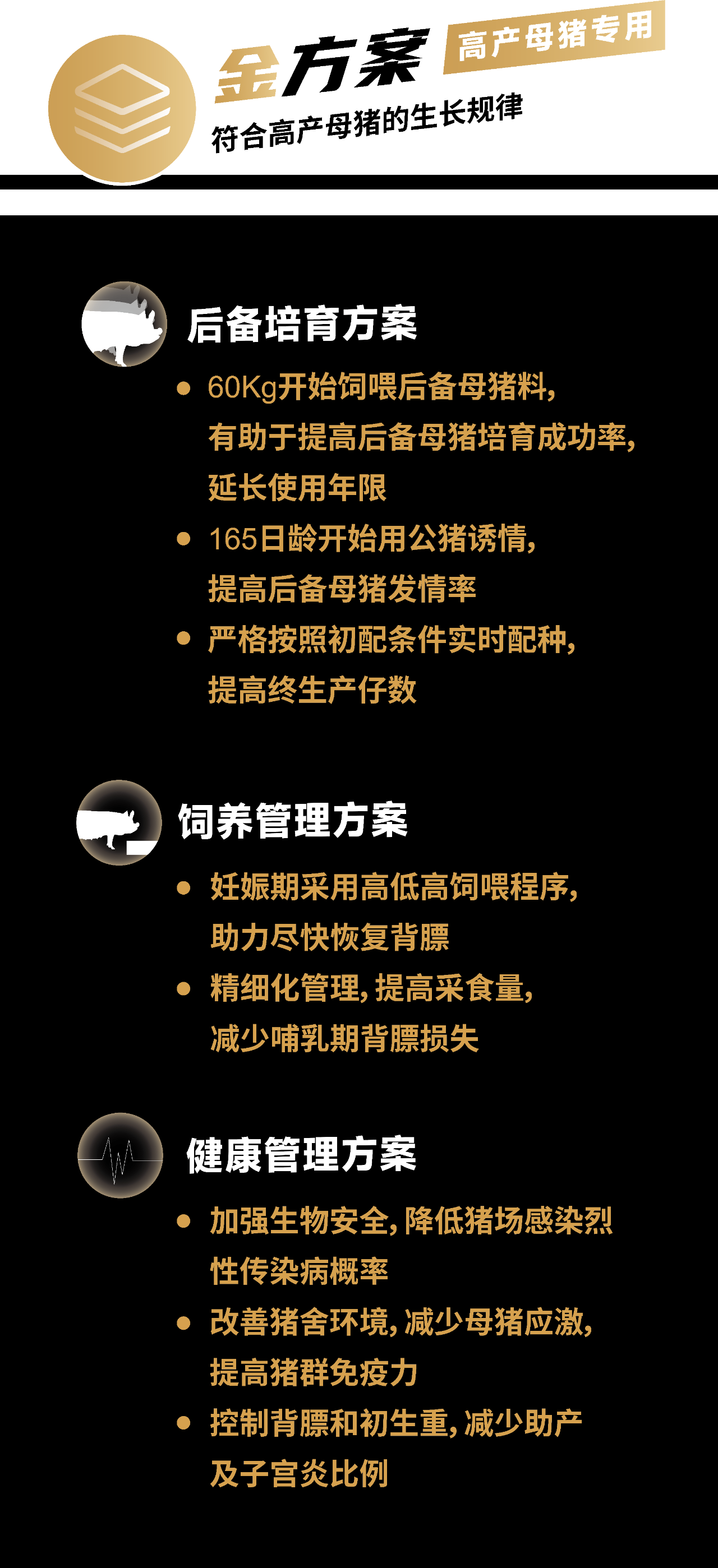 中国电子游艺网站下载安装
