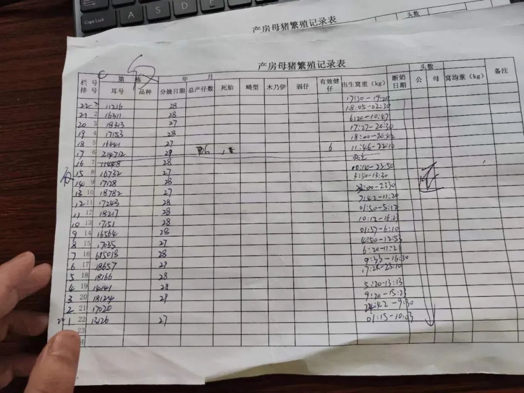 中国电子游艺网站下载安装
