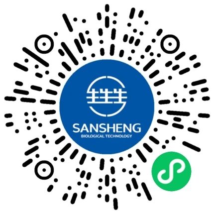 中国电子游艺网站下载安装
