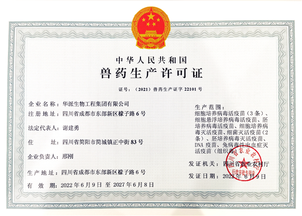 中国电子游艺网站下载安装

