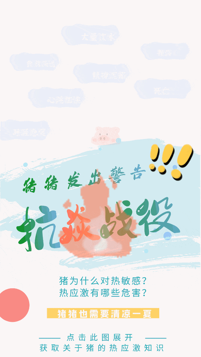 中国电子游艺网站下载安装
