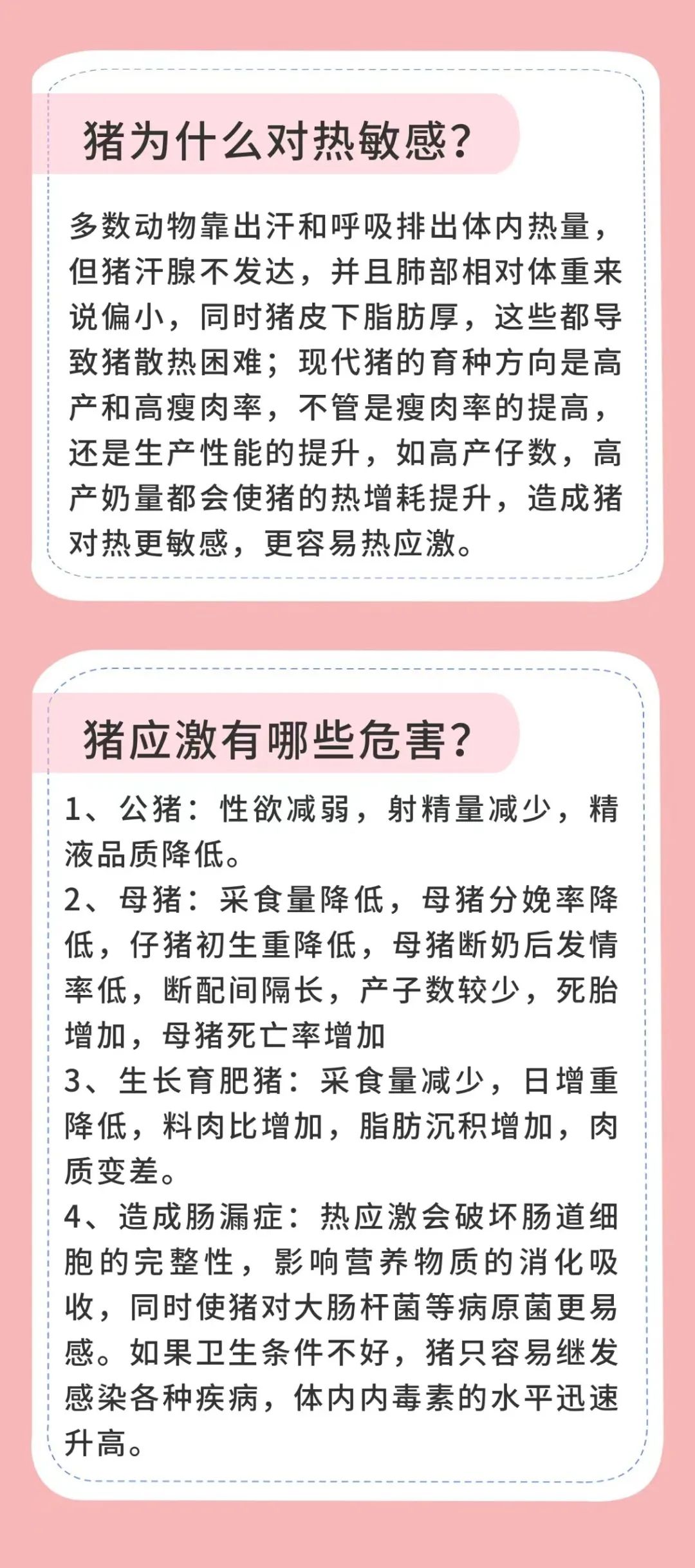 中国电子游艺网站下载安装

