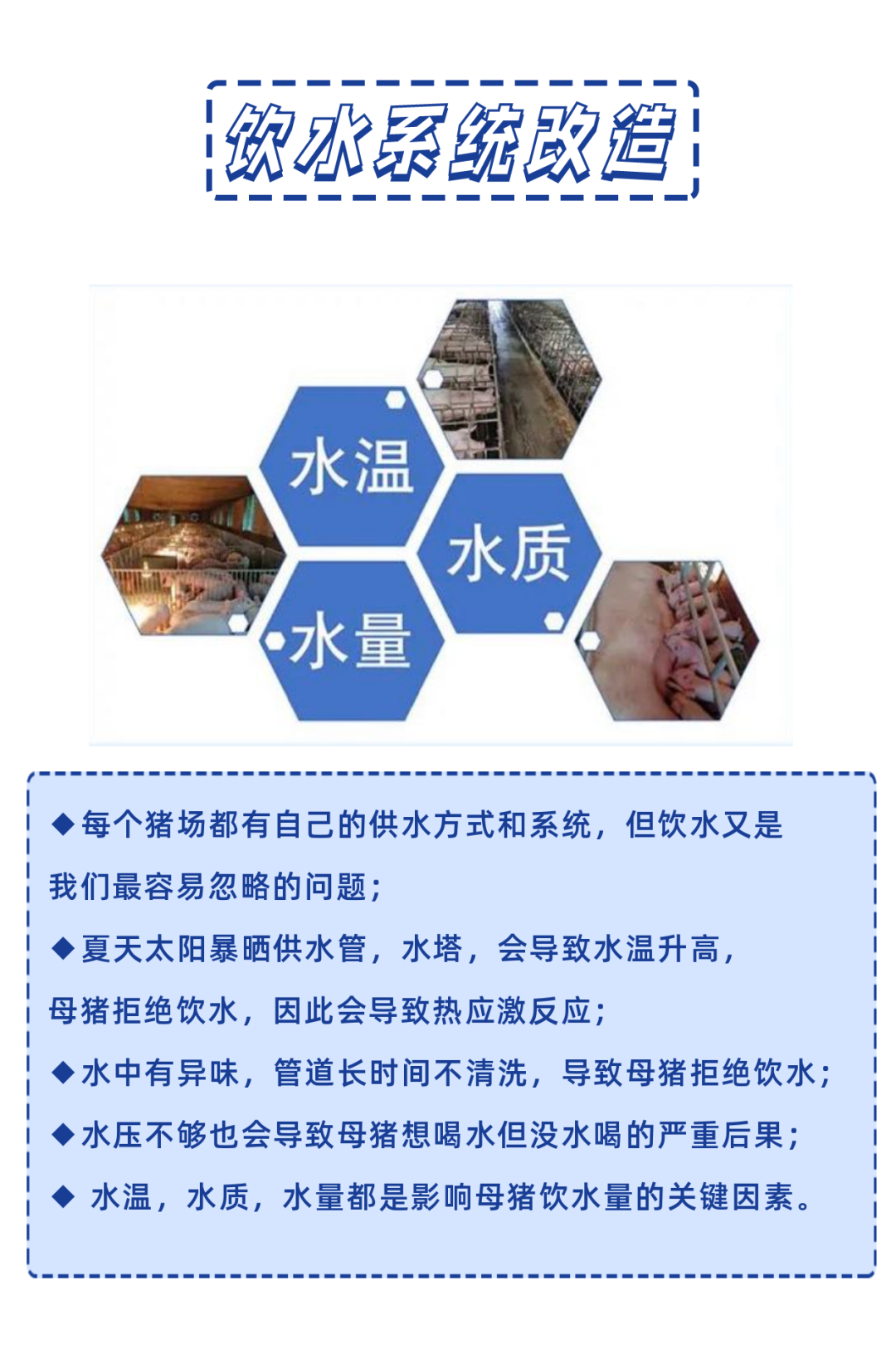 中国电子游艺网站下载安装
