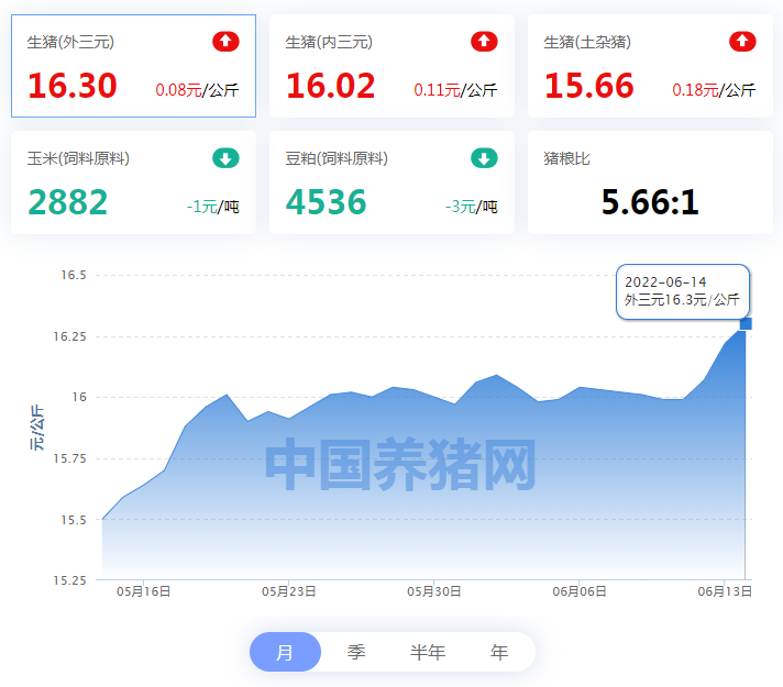 中国电子游艺网站下载安装

