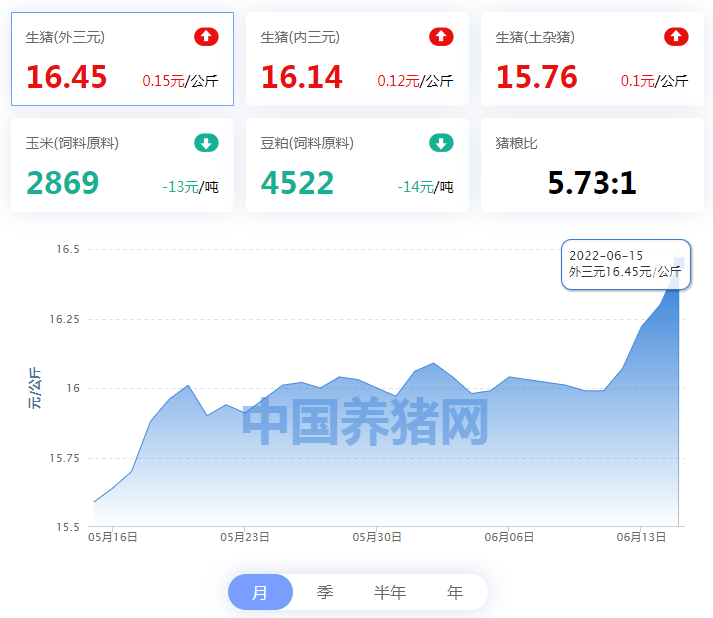 中国电子游艺网站下载安装