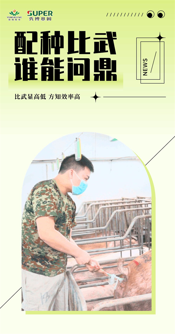 中国电子游艺网站下载安装
