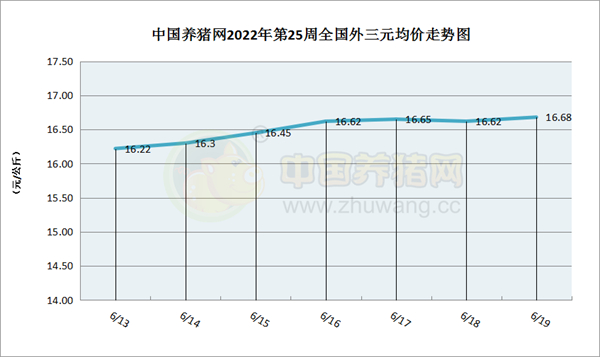 中国电子游艺网站下载安装
