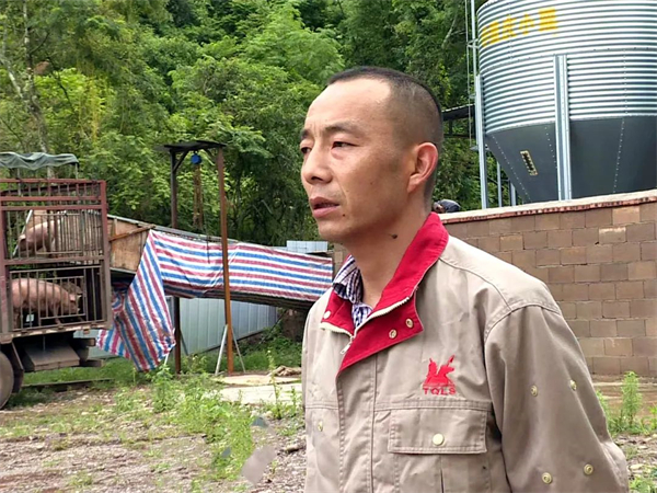 中国电子游艺网站下载安装
