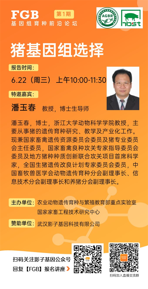 中国电子游艺网站下载安装
