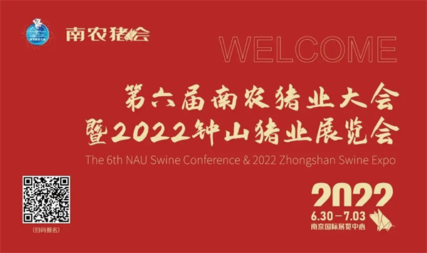 中国电子游艺网站下载安装

