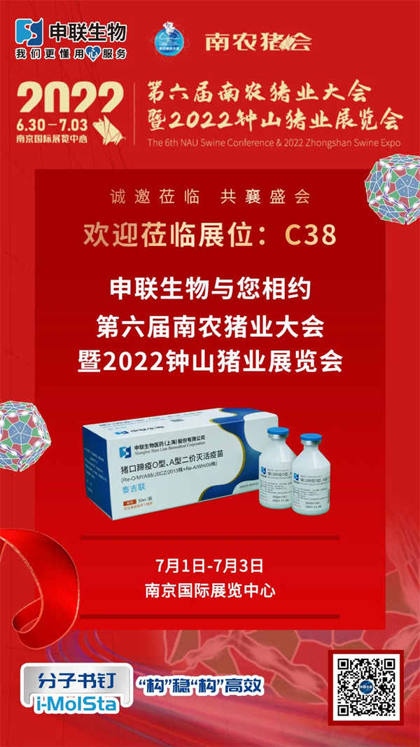 中国电子游艺网站下载安装
