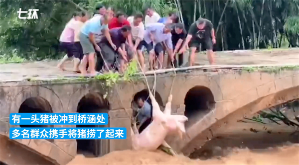 中国电子游艺网站下载安装
