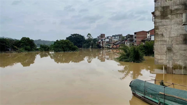中国电子游艺网站下载安装
