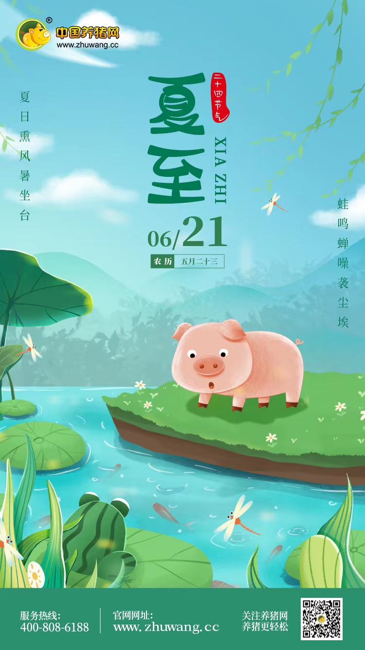 夏至-20220621