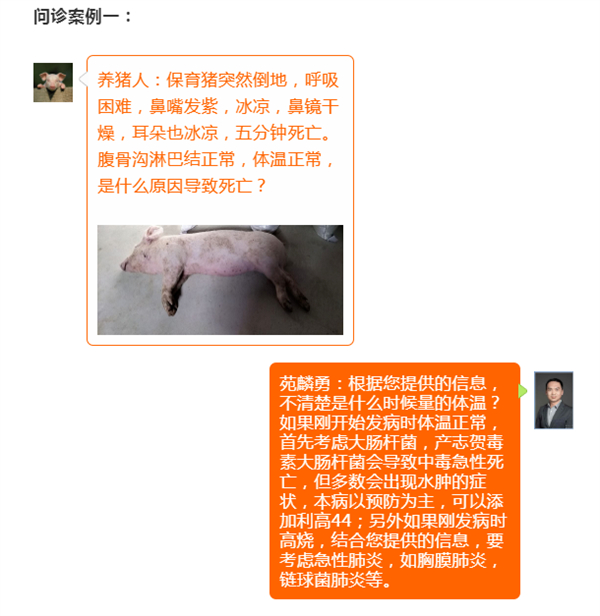 中国电子游艺网站下载安装
