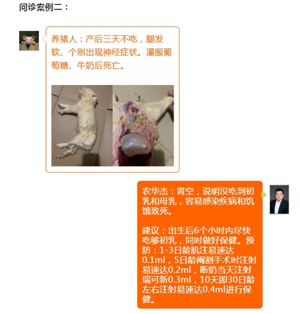 中国电子游艺网站下载安装

