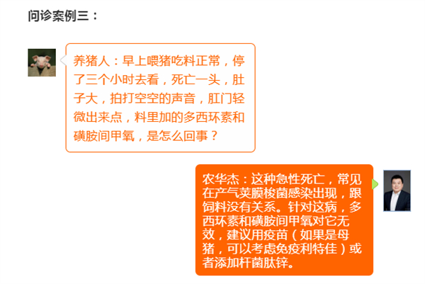 中国电子游艺网站下载安装
