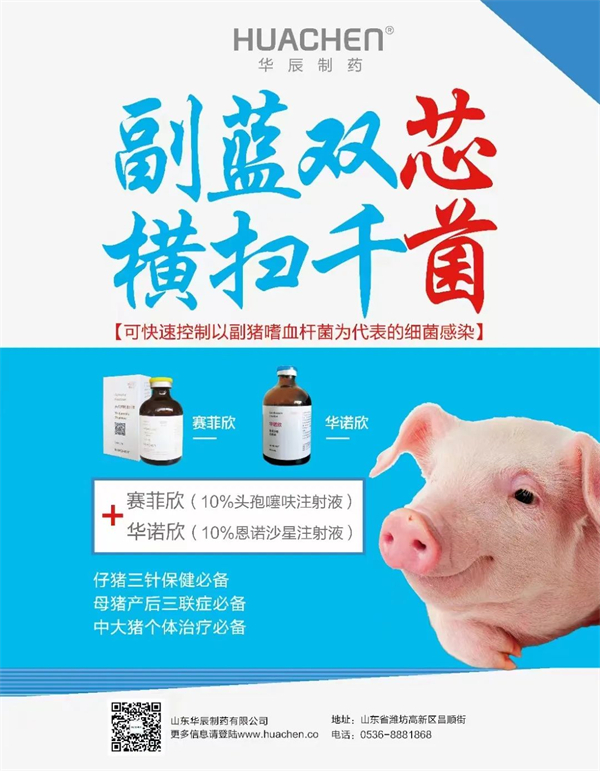 中国电子游艺网站下载安装
