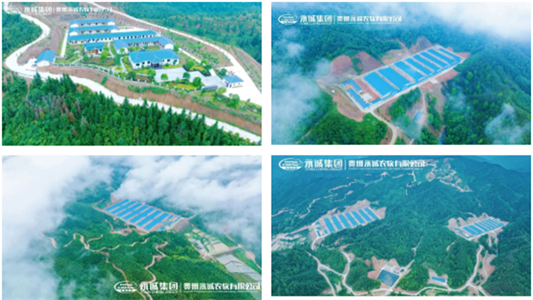 中国电子游艺网站下载安装
