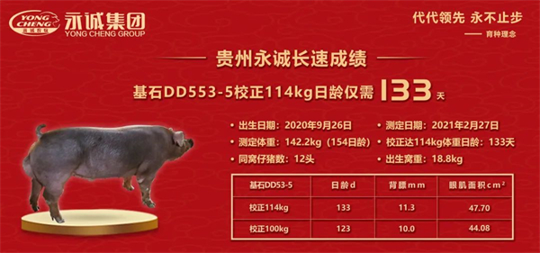 中国电子游艺网站下载安装
