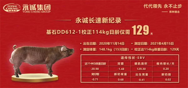 中国电子游艺网站下载安装
