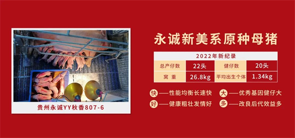 中国电子游艺网站下载安装
