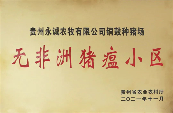 中国电子游艺网站下载安装
