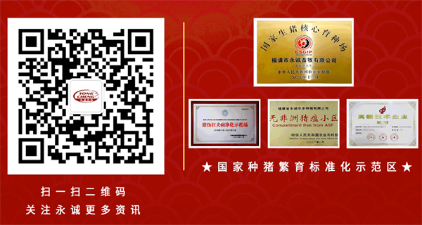 中国电子游艺网站下载安装
