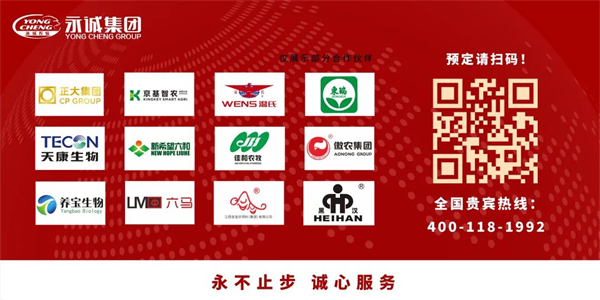 中国电子游艺网站下载安装
